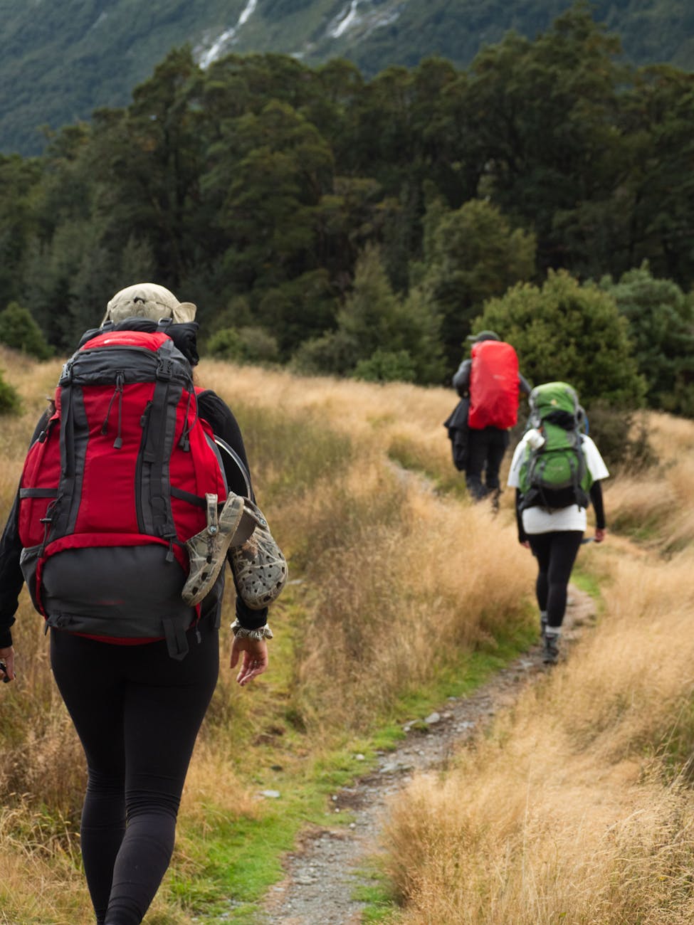 hikers traversing trail in south island nz